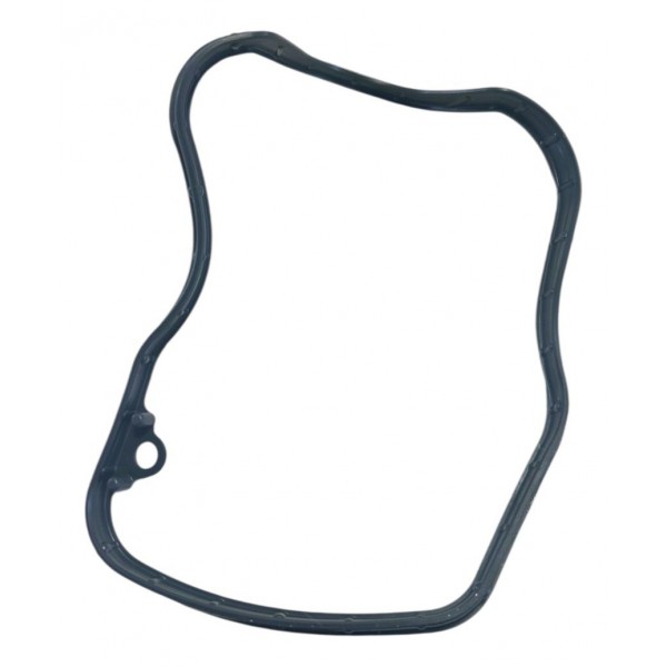 Junta Cabeçote Vedação Yamaha Fluo 125 Original B5de119300