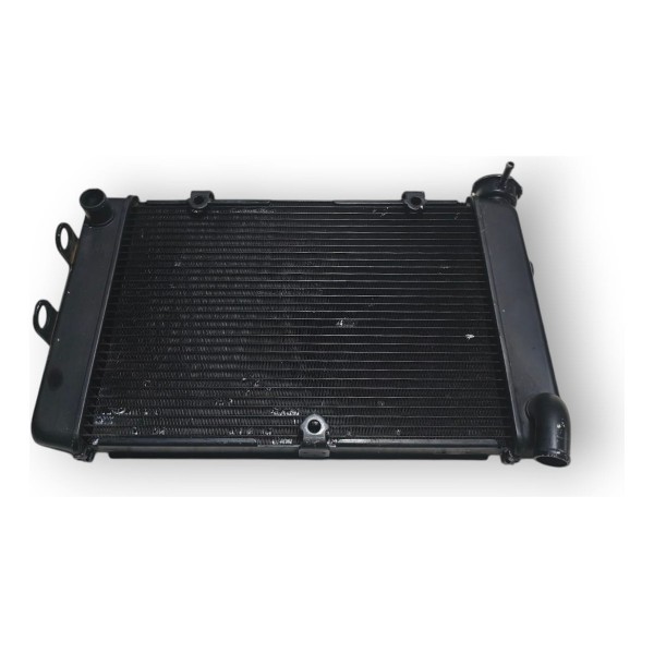Radiador D Água Kawasaki Versys 650 2020 A 2021 Original