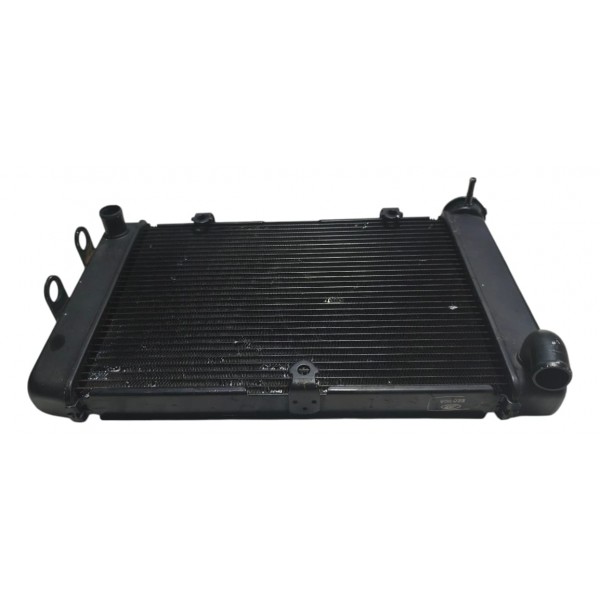 Radiador D Água Kawasaki Versys 650 2020 A 2021 Original