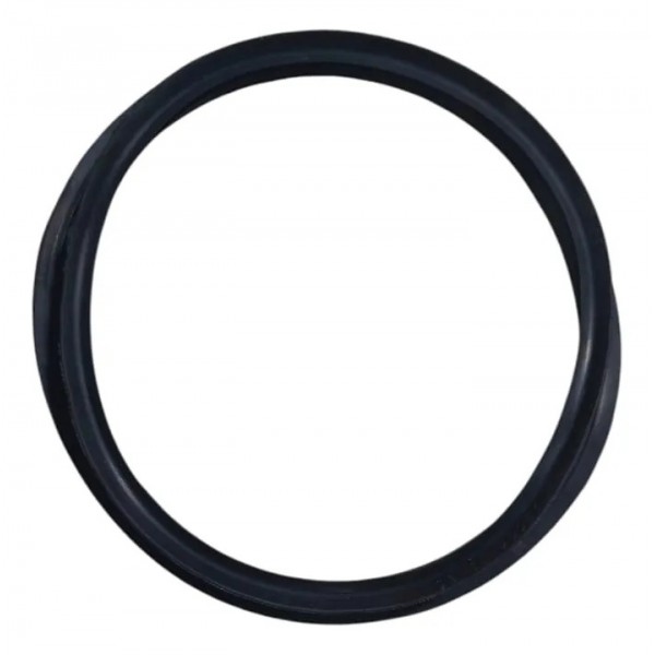 Anel Vedação P/ Bomba Combustível Tanque Polo Virtus T-cross