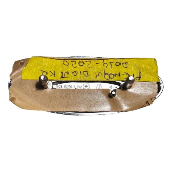 Emblema Oval Grade Radiador Ecosport 2012 A 2017 New Fiesta Azul E Cromado