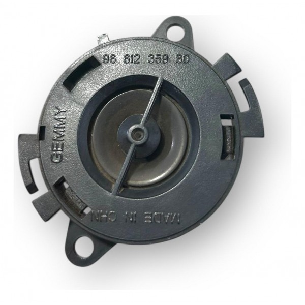 Alto Falante Original Citroen C4 2.0 2009 2010 2011 Preto