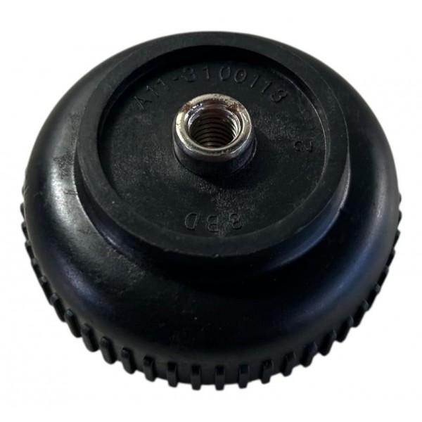 Trava Fixação Estepe Chery Tiggo Face Qq Original A113100113