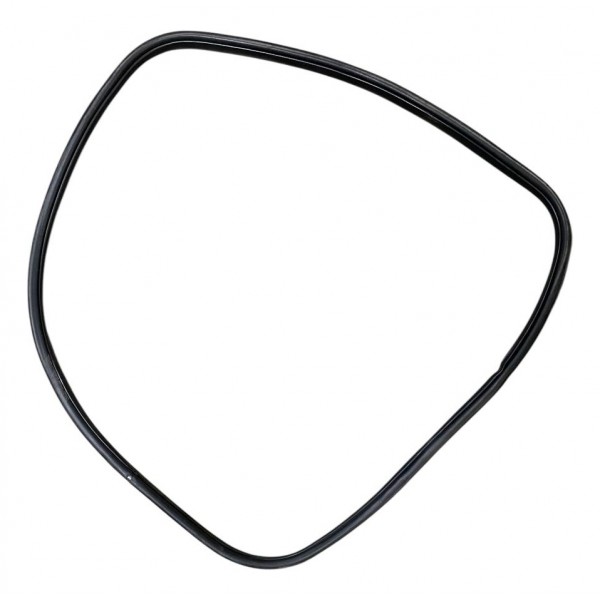 Borracha Vedação Ford Fusion 2.3 Porta Traseira Direita 2008