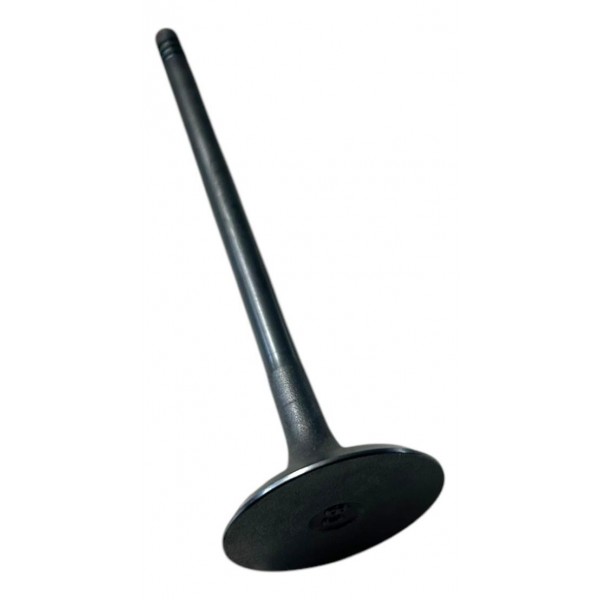 Jogo 8 Válvulas De Admissão Chery Tiggo 2 1.5 16v Original