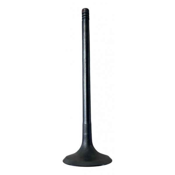 Jogo 8 Válvulas De Admissão Chery Tiggo 2 1.5 16v Original