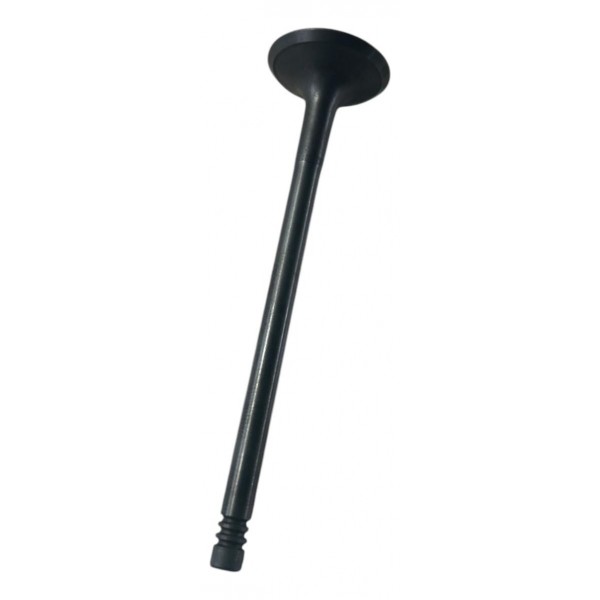 Válvula De Exaustão Chery Tiggo 2.0 8 Unidades Original