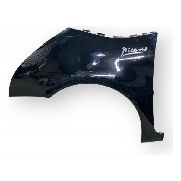 Paralama Citroen C4 Grand Picasso Dianteiro Esquerdo 2009 12