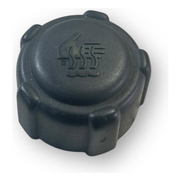 Tampa Reservatorio Agua Renault Scenic A.6 16v 2004 Original