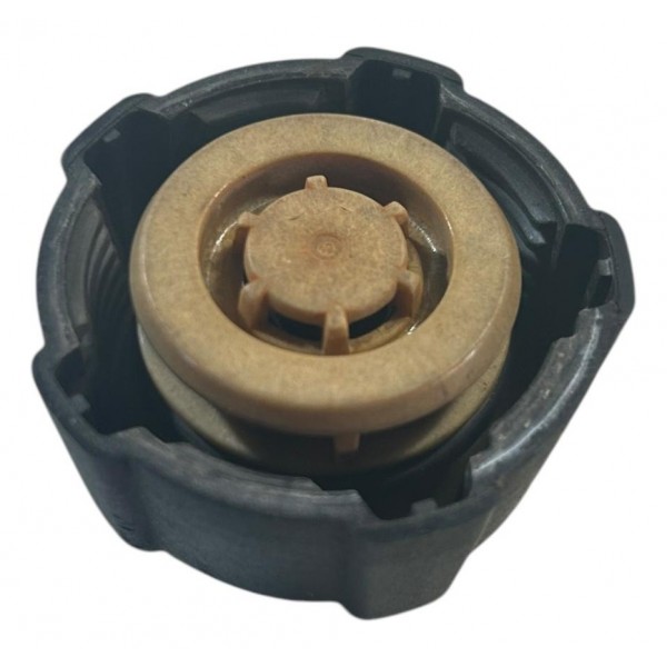 Tampa Reservatorio Agua Renault Scenic A.6 16v 2004 Original