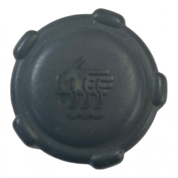 Tampa Reservatorio Agua Renault Scenic A.6 16v 2004 Original