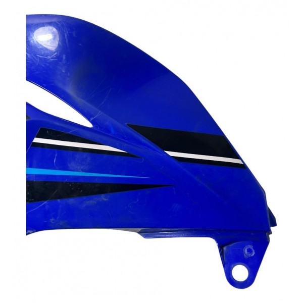 Carenagem Lateral Yamaha Tz250 Lander Esquerdo Azul Azul