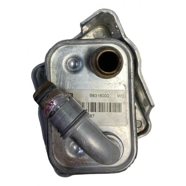 Bomba Resfriador Óleo Bmw 118i 320i 318i X1 2009 B8316000