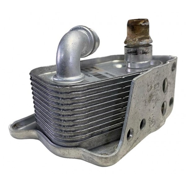 Bomba Resfriador Óleo Bmw 118i 320i 318i X1 2009 B8316000