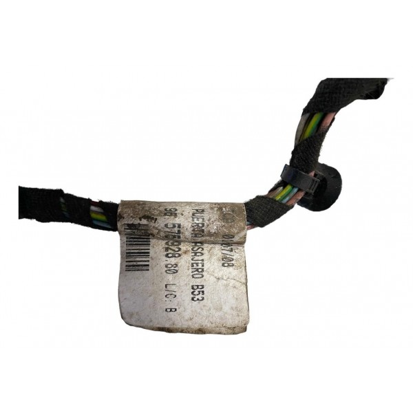 Chicote Porta Citröen C4 Pallas Dianteira Direita