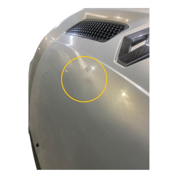 Capo Dianteiro Renault Scenic 2004 Original