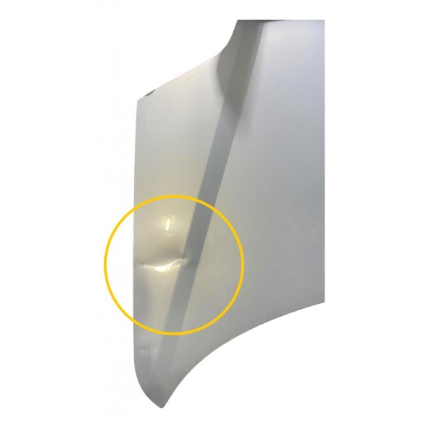 Capo Dianteiro Renault Scenic 2004 Original