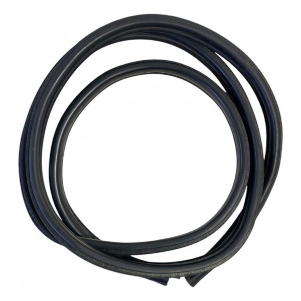 Borracha Porta Bmw 118i 120i E87 Traseira Esquerda 2009