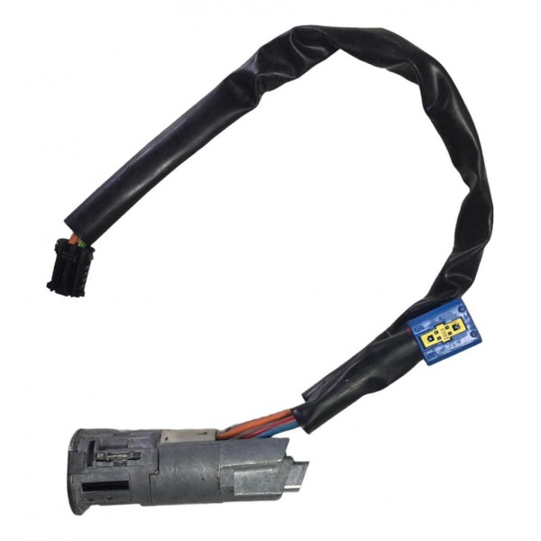 Miolo Chave Comutador Partida Peugeot 206 1.4 2005 Original