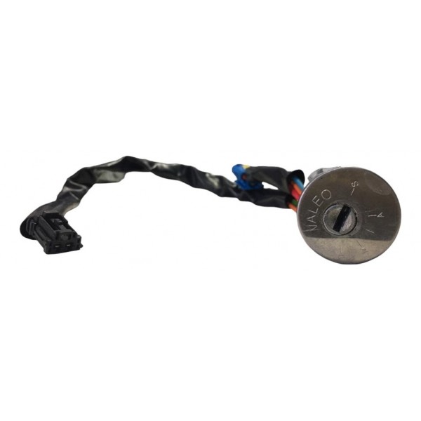 Miolo Chave Comutador Partida Peugeot 206 1.4 2005 Original