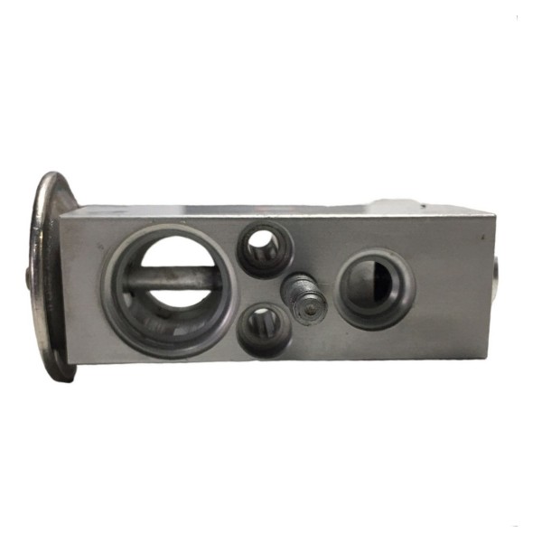 Válvula Expansora Ar  Renault Clio 1.6 2006 423001-1