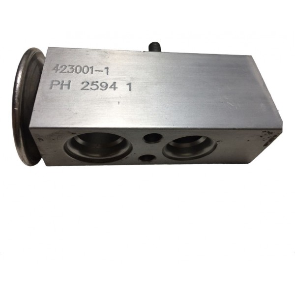 Válvula Expansora Ar  Renault Clio 1.6 2006 423001-1