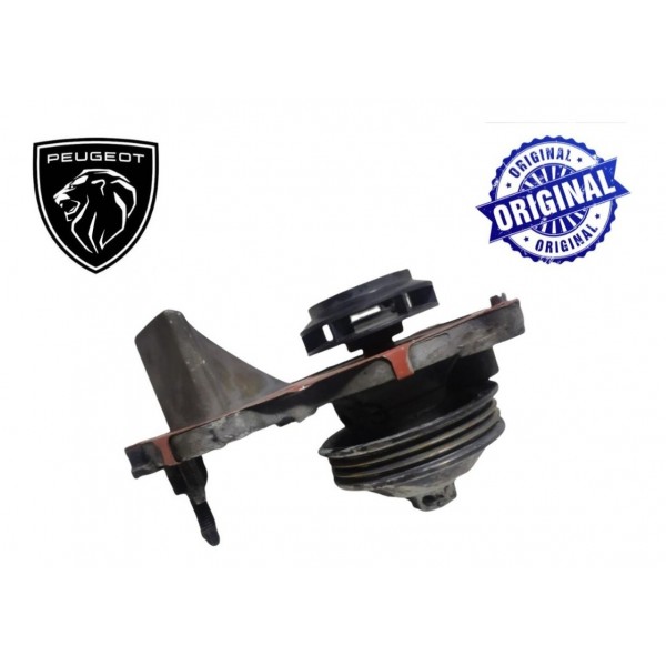 Bomba Água Citroen C3 Peugeot 208 1.2 12v 3cc Original