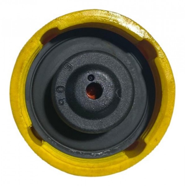 Tampa Reservatório Água Chevrolet Gm Vectra Astra Zafira