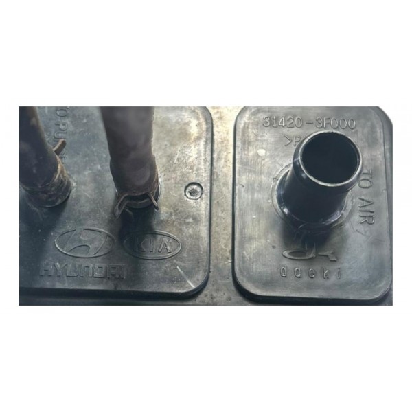 Filtro Canister Hyundai Tucson 2010 2.0 Original 314203f000