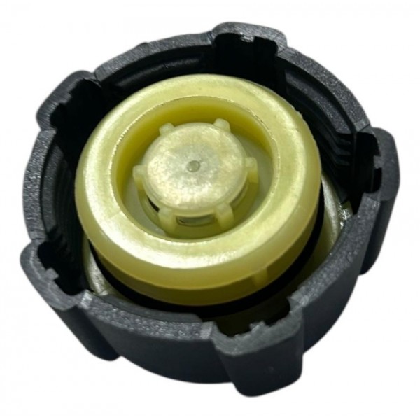 Tampa Reservatório Radiador Renault Clio 2000 2017 Original