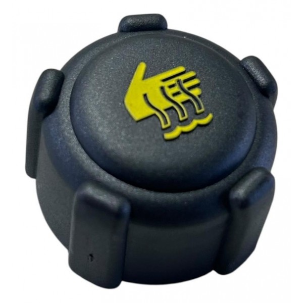 Tampa Reservatório Radiador Renault Clio 2000 2017 Original