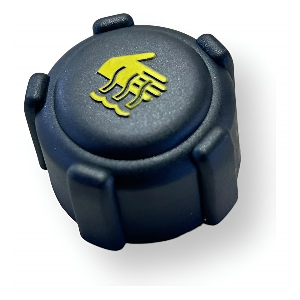 Tampa Reservatório Radiador Renault Clio 2000 2017 Original