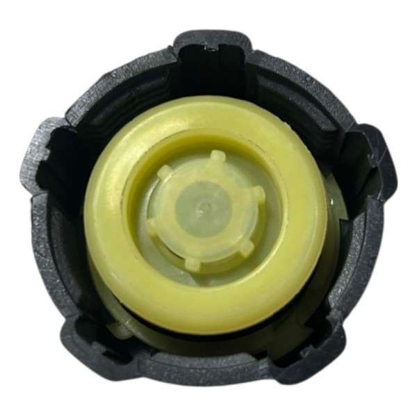 Tampa Reservatório Radiador Renault Clio 2000 2017 Original